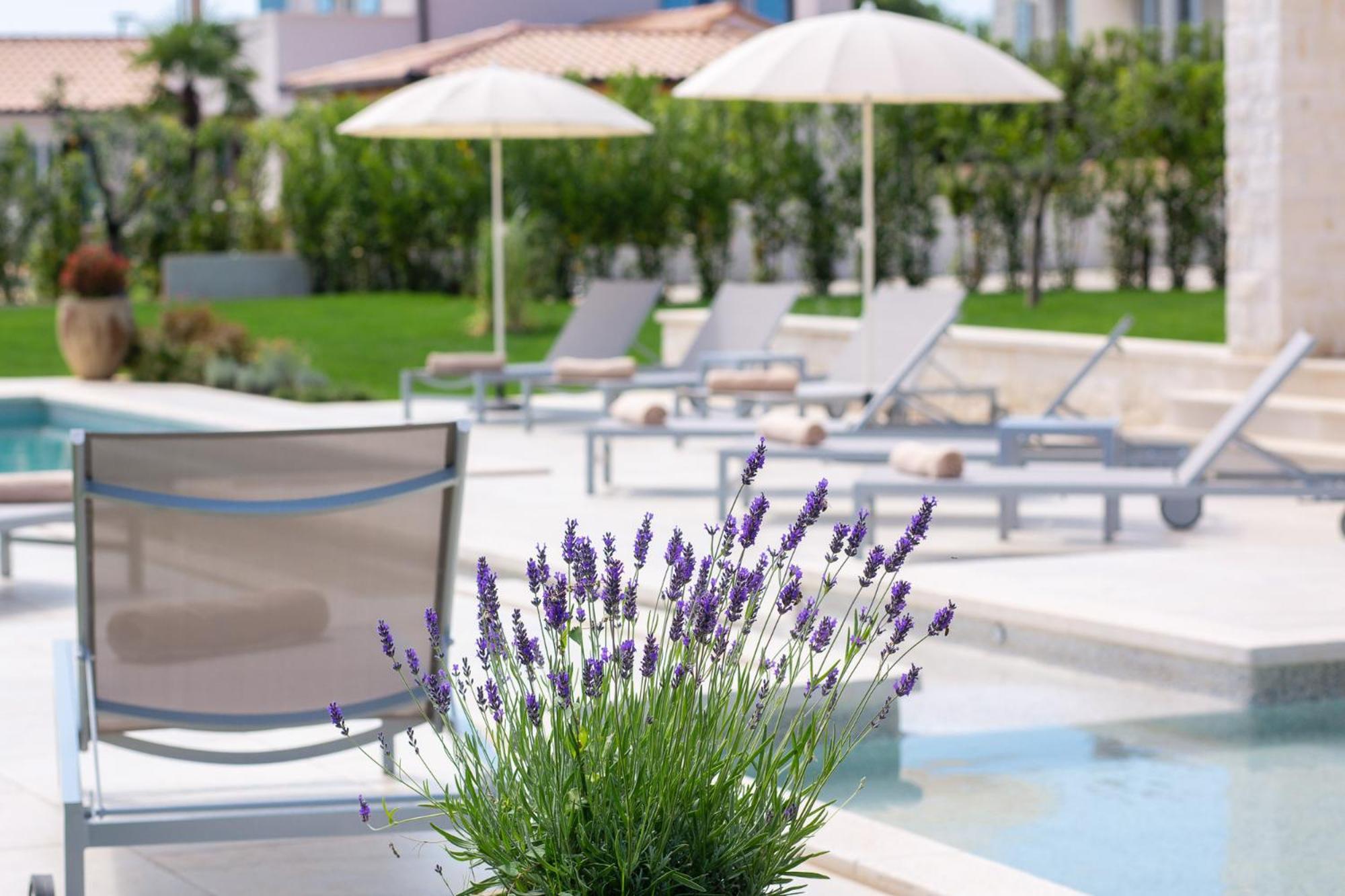Mirana Luxury